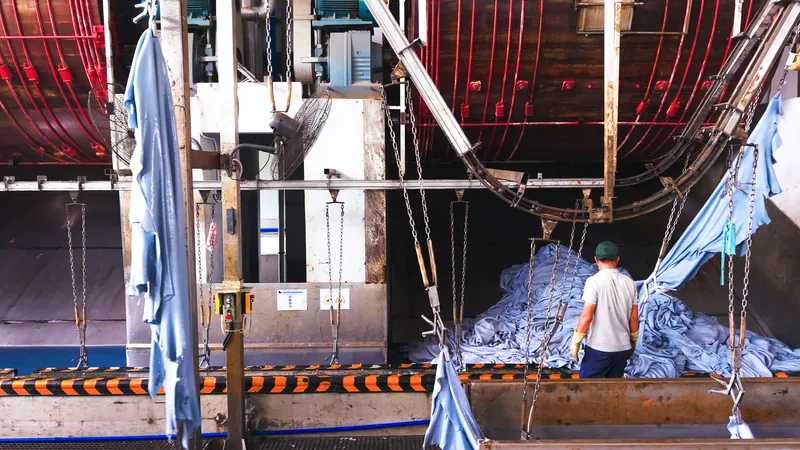 Simona Tanning, traceability film